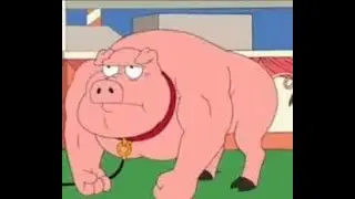 Online Misadventures of Buff Pig