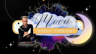 Moon Reflections 🌙 | Weekly Review & Preview | Creativity &rarr; Confidence