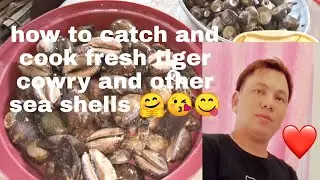 how to catch and cook tiger cowry and other sea shells 🤗🤗🤗