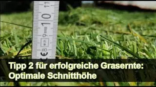 Optimale Schnitth&ouml;he f&uuml;r erfolgreichen 1. Schnitt von BayWa + G&Uuml;TTLER! Tipp #2 von 5
