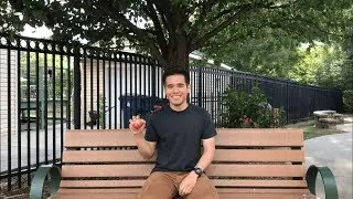 Why Do Apples Fall? (Gravity Explained)