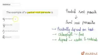 The example of a partial root parasite is