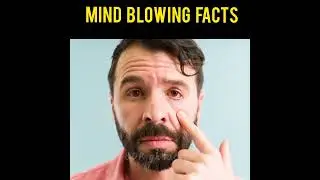 Amazing Crazy Facts || Facts In Hindi || Top 5 Facts || BDR gk facts || #shorts