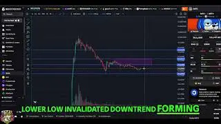 SATO THE DOG Crypto Update: Next Meme Coin Potential? #shorts