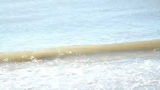 DSCF6749