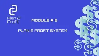 9 PLAN 2 PROFIT MOD 6