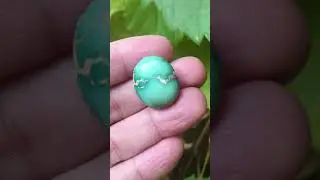 Turquoise Earth Stone Crystal Blessing