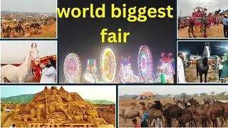 Pushkar Mela 2025 Vlog &ndash; Camel Fair, Sand Art, Horses & Market