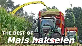 The Best Of Mais Silage 2019 | Mais Hakselen