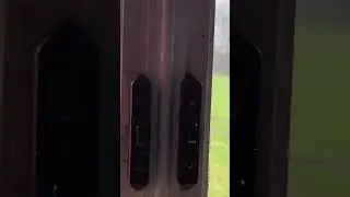 Runescape cows IRL