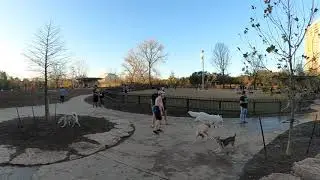 Johnny Steele Dog Park