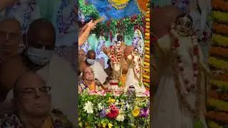Sri Sri Radha Krishna | Abhishek Iskcon Mayapur