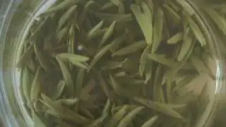 Sichuan Green Needles - ett gr&ouml;nt te