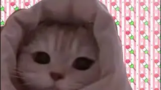 Stray kids Lalala (Bass Boosted)