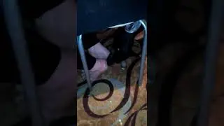 Уникальный способ чистки пяток.(1)