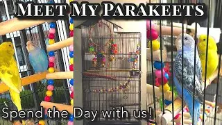 First Day with my Birds VLOG || Bird Cage Tour || Meet my Pets!