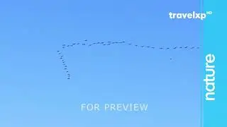 travelxp HD