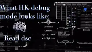 Hollow Knight Debug Mod (Read description,)