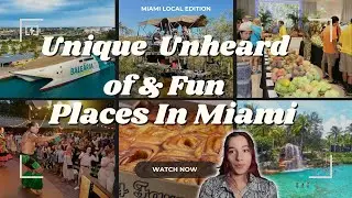 Hidden Gems in Miami 🌴 | Unique & Fun Places Even Locals Don&rsquo;t Know About!