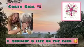 Costa Rica 🇨🇷.  1) arriving & life on the farm 💗