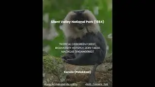 Silent Valley National Park (1984) Kerala (Palakkad) biodiversity hotspot. Lion-tailed Macaque