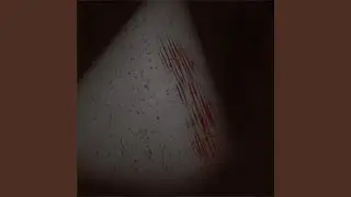 156.70.136.251