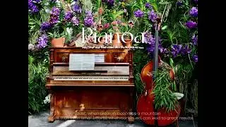 P I A N O A -- 🎹 You already did well just by making it through today. It’ll be okay.🌙🕊️ /🎵 43