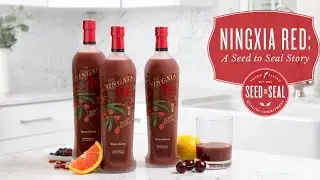 Young Living Ningxia Drink