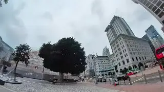 香港艺术馆，徐冰-天书 #旅游