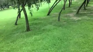 LG Optimus 4X HD Video Sample - Hand Held - 1080p - Unrendered - iGyaan HD