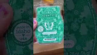 August 2025 Scentsy Whiff Box