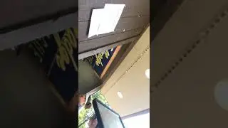 Danny And Connor Films Meetup ( Something For Episode 3 Of Object Invasion In Plotagon)