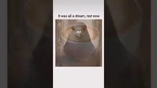 It was all a dream, rest now