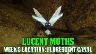 Destiny 2: Lucent Moths - Florescent Canal Location (Lepidopteris Triumph)