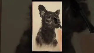 Cute French Bulldog in Charcoal | Artistic Expression #drawing #petportraitartist #petartist