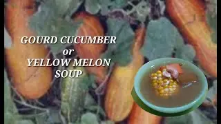 GOURDCUCUMBER YELLOWMELON SOUP|BusyMaid Devilkitchen