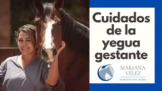 CUIDADOS DE LA YEGUA GESTANTE