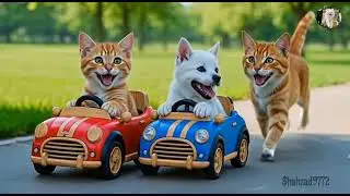 Cat wali video mami cat | viral cat video | ai cat #aivideo 