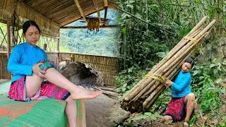 120 days of living alone, harvesting, cooking, Daily Life | Hoang Thi Mai