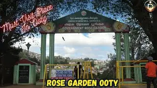 Government Rose Garden Ooty - Must Visit place in Ooty | Ooty Series #destinygo #ooty