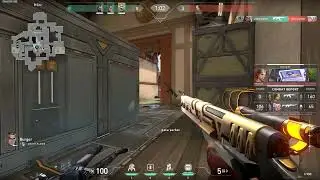 new reyna passive ig