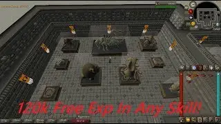 How To Complete Fossil Displays - 120K Free Exp In Any Skill - OSRS Fossil Island Fossils