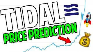 Tidal Finance Crypto Coin Price Prediction & Review (TIDAL)