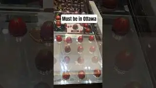 #pistachio #choco #delicious #lifestyle #ottawablogger #ottawa #canada #ottawalife #mustvisitplaces