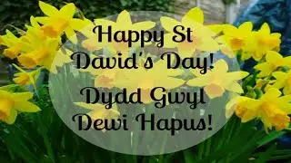Maescanner St David's Day Dydd Gwyl Dewi 2021