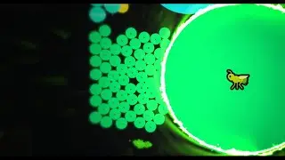 The Gota.io Fade.......