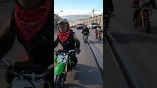 Monkey Biker Gang 🏍️🔥 | The Wildest Ride Ever! #shorts #vfxhd