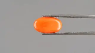 Natural Italian Red Coral (Moonga) Gemstone | 4.01 Carat | CC-5517 | MyRatna