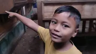 Kambing