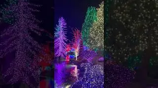 Tulalip Casino Lights #telugushorts #usavlogstelugu #seattle #usavlogtelugu #holiday#casino#trending